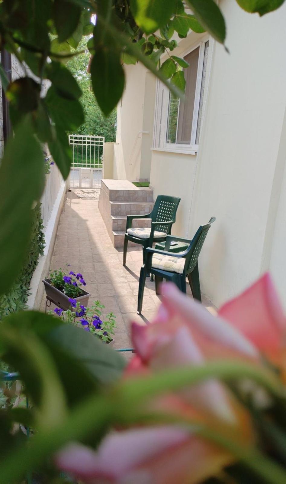 Apartment Green Free Private Parking Újvidék Kültér fotó